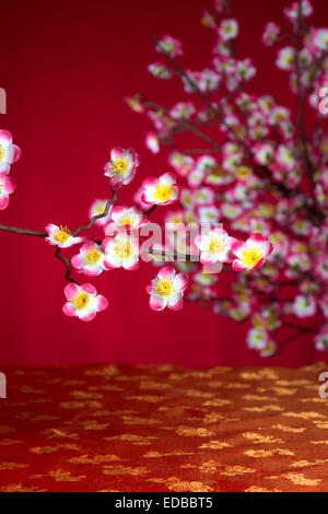Anno Nuovo cinese di fiori di ciliegio con copyspace adatto per la collocazione di prodotti fini Foto Stock