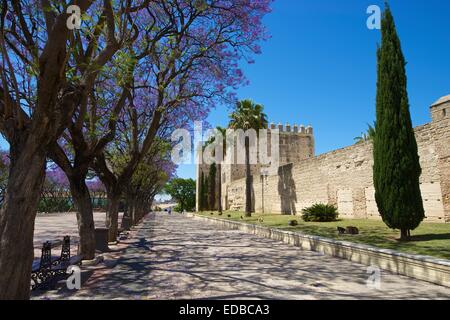 Alcazar de Jerez, Jerez de la Frontera, Andalusia, Spagna Foto Stock