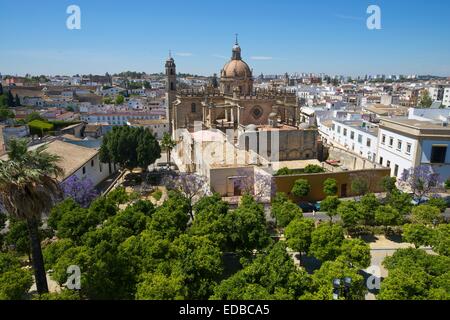 Cattedrale la Colegiata del Salvador, Jerez de la Frontera, Andalusia, Spagna Foto Stock