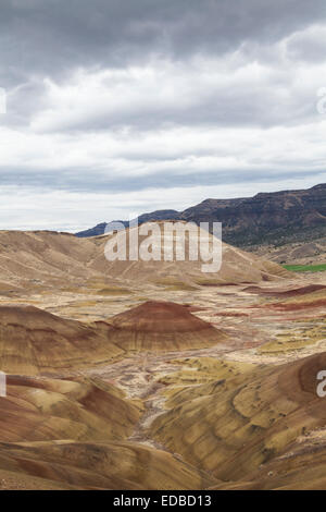 Una collina del dipinto di colline, John Deer Fossil Beds, Oregon, Stati Uniti Foto Stock