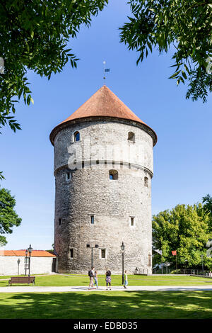 Torre Kiek in de Kök, le mura della città, Toompea, città vecchia, Tallinn, Estonia Foto Stock