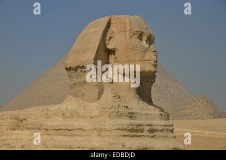 Sphinx o la Grande Sfinge di Giza, Lion con una testa umana, costruita nel IV dinastia egizia intorno 2700 BC, nella parte anteriore del Foto Stock