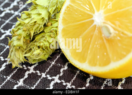 Limone e due steli di tipo endemico della montagna di tè secco Foto Stock