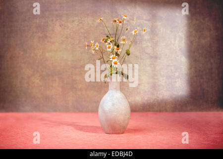 Immagine ravvicinata di camomilla fiori in vaso Foto Stock