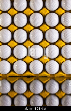 Palline da golf nel foglio di carta cartone per le uova su una scrivania in vetro Foto Stock