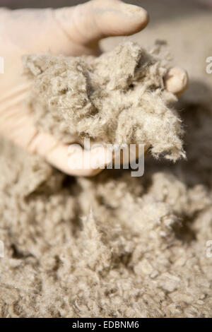 Immagine illustrativa di Rockwool materiale di isolamento per uso nella parete di cavità di isolamento. Foto Stock