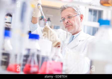 La vita dello scienziato ricerca in laboratorio. Foto Stock