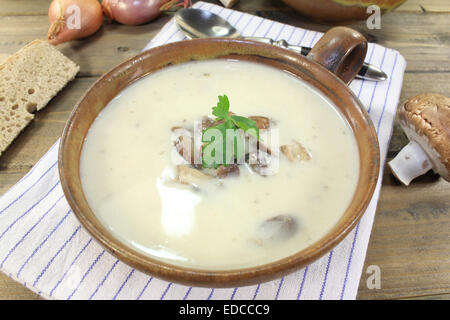 Una zuppa di carne di vitello con deposito a fungo Foto Stock