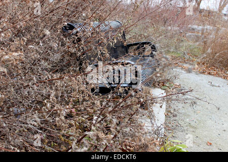 Dettagli fotografici di un misterioso banco segreto nascosto nei cespugli in un solitario parco canadese Foto Stock