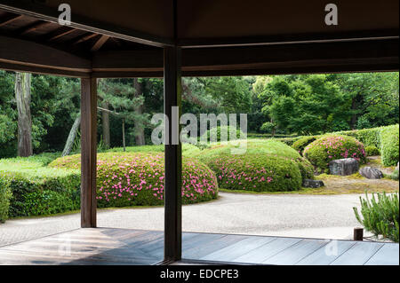 Jiko-in tempio zen, Nara, Giappone. La 17c giardino di ghiaia bianca e agganciata azalee intorno a shoin (reception hall) Foto Stock