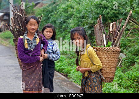 Giovani ragazze Lao portano il sottobosco in un cestello sul loro dorso, Luang Namtha provincia nord del Laos Foto Stock