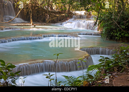 Cascate di travertino e blu turchese piscine della Kuang Si / Cascate Kuang Xi / Tat Kuang Si cascate vicino a Luang Prabang, Laos Foto Stock