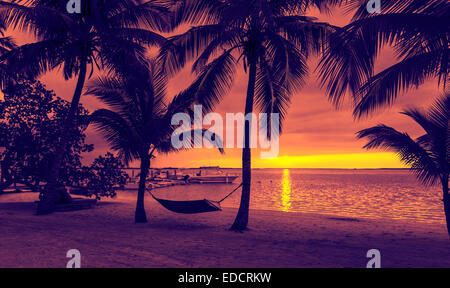 Palme e amaca sulla spiaggia tropicale Foto Stock