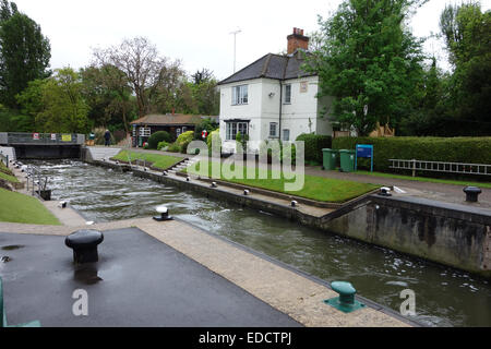 Marlow (storicamente grande Marlow o Chipping Marlow) è una città andcivil parrocchia entro Wycombe distretto a sud Buckinghamshire Foto Stock