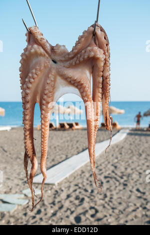 Il polpo di essiccazione al sole di fronte all'acqua presso la spiaggia di Santorini, isole greche, Grecia Foto Stock