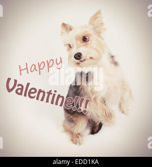 Felice san valentino cane amore cartolina Foto Stock