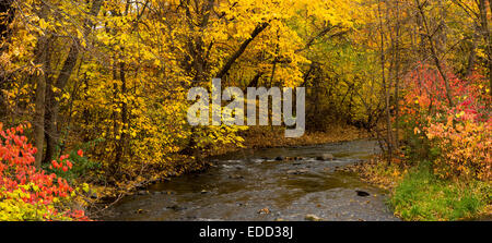 Minnehaha Creek circondato da colori autunnali. Foto Stock