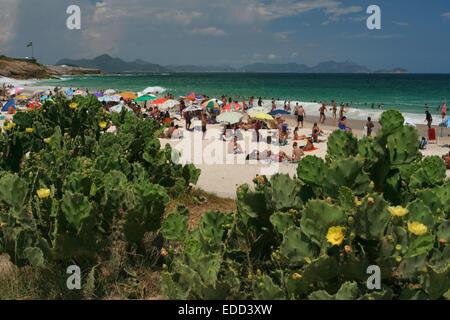 Rio de Janeiro, Brasile, 4 gennaio 2015. Meteo Rio: lucertole da mare godere Devil's Beach in una calda e soleggiata domenica, quando le temperature hanno raggiunto 35°C. Foto Stock