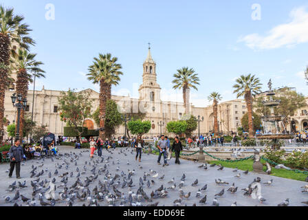 Piccioni in la mitica Plaza de Armas, central Arequipa, Perù con il landmark Basilica Cattedrale di Arequipa in background, in una giornata di sole Foto Stock