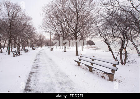 Chicago, Stati Uniti d'America, 5 gennaio 2015. Dopo una notte di neve, la gente in città il ritorno al lavoro dopo le vacanze sperimentato temperature di -16C (-4F). Più grave e più fredde meteo noto come il " Alberta Clipper' è previsto. Nella foto: vuoto panchine e nevicata nel Parco di Jackson. Credito: Stephen Chung/Alamy Live News Foto Stock