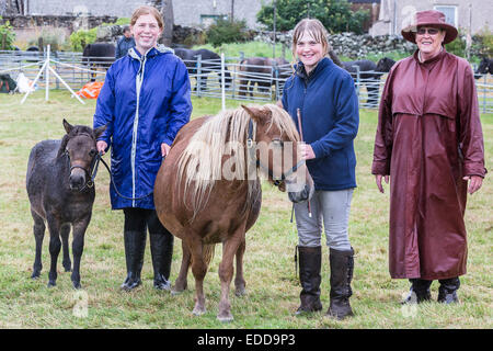 Pony Shetland conformazione mostrano la pioggia Mare puledro stallieri giudice Shetland continentale Foto Stock