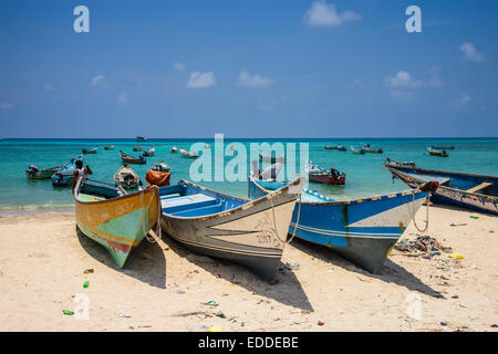 Coloratissime barche di pescatori, Qalansia, isola di Socotra, Yemen Foto Stock