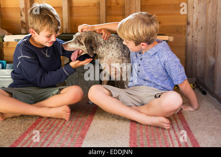 Due fratelli a giocare con il loro cane. Foto Stock