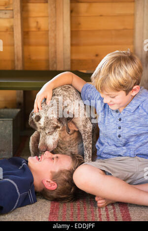 Due fratelli a giocare con il loro cane. Foto Stock