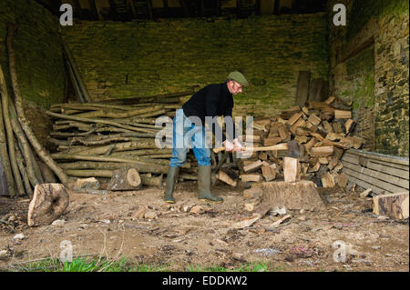 Un uomo di trinciatura di legno con un'ascia, un mucchio di registri e un trito di legno. Foto Stock