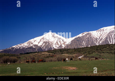 Italia, Abruzzo, Parco Nazionale del Gran Sasso e Monti della Laga, Monti della Laga Foto Stock