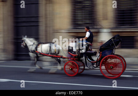 Italia, Roma, carrozza dei cavalli Foto Stock