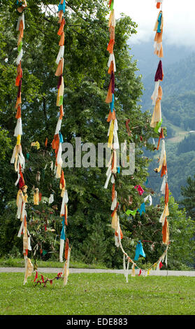 La Jaysinia,il giardino alpino di Samoëns Foto Stock