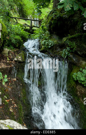 La Jaysinia,il giardino alpino di Samoëns Foto Stock