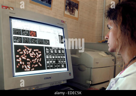 Università degli Studi di Milano (Italia), Dipartimento di Biologia e genetica, analisi dei cromosomi Foto Stock