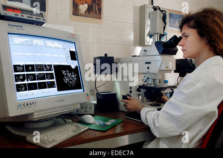 Università degli Studi di Milano (Italia), Dipartimento di Biologia e genetica, analisi dei cromosomi Foto Stock