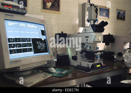 Università degli Studi di Milano (Italia), Dipartimento di Biologia e genetica, analisi dei cromosomi Foto Stock