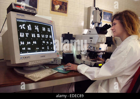 Università degli Studi di Milano (Italia), Dipartimento di Biologia e genetica, analisi dei cromosomi Foto Stock