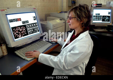 Università degli Studi di Milano (Italia), Dipartimento di Biologia e genetica, analisi dei cromosomi Foto Stock