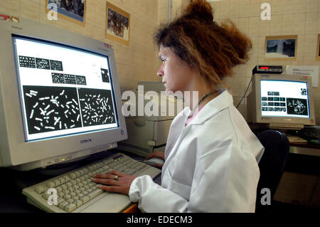 Università degli Studi di Milano (Italia), Dipartimento di Biologia e genetica, analisi dei cromosomi Foto Stock