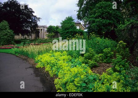 Documentario immagini dei Giardini Botanici Sheffield Foto Stock