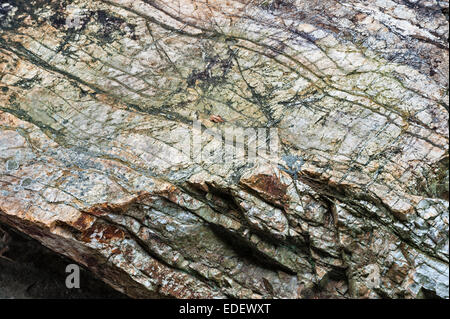 Tempio zen Taizo-in, Myoshin-ji, Kyoto, Giappone. Intricati motivi naturali su una roccia nel giardino 16c kare-sansui (ghiaia secca) Foto Stock