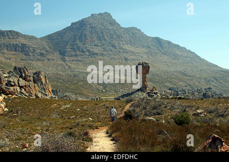 La magnifica Croce Maltese con Sneeuberg in background all'Cederberg Wilderness Area a nord di Città del Capo Sud Africa Foto Stock