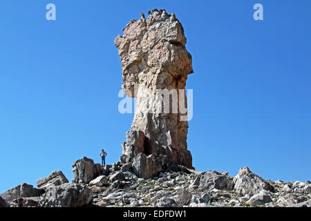 La magnifica croce di malta al Cape Cederberg Wilderness Area a nord di Cape Town Cape provincia Sud Africa Foto Stock