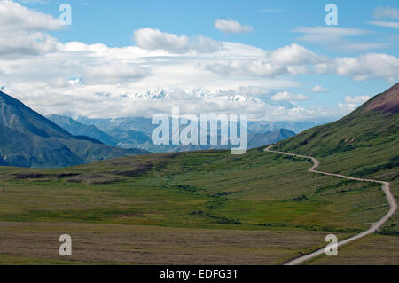 Strada nel Parco di Denali Foto Stock