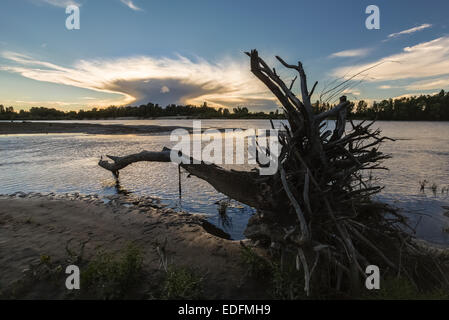 Serata sul fiume Dnieper coperto con haze. L'Ucraina Foto Stock