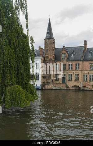 Cerca passato salice piangente albero, Salix babylonica, sul Dijver Canal, con edifici medievali. Foto Stock