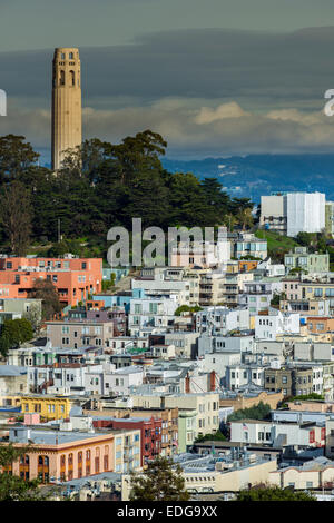 Vista dall'alto sulla Collina del Telegrafo di vicinato e la Torre Coit, San Francisco, California, Stati Uniti d'America Foto Stock