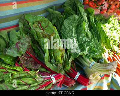 Chard display organico presso il Mercato degli Agricoltori Embarcadero San Francisco California USA Foto Stock