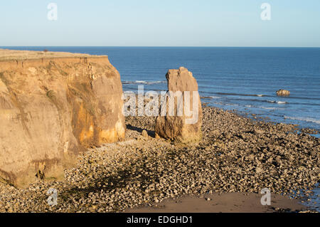 Stack di mare a puntaspilli rocce tra Seaham e Ryhope lungo la North Durham costa, North East England, Regno Unito Foto Stock