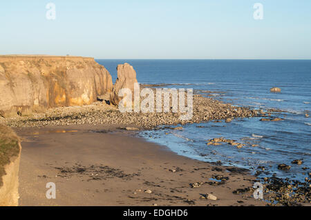 Stack di mare a puntaspilli rocce tra Seaham e Ryhope lungo la North Durham costa, North East England, Regno Unito Foto Stock